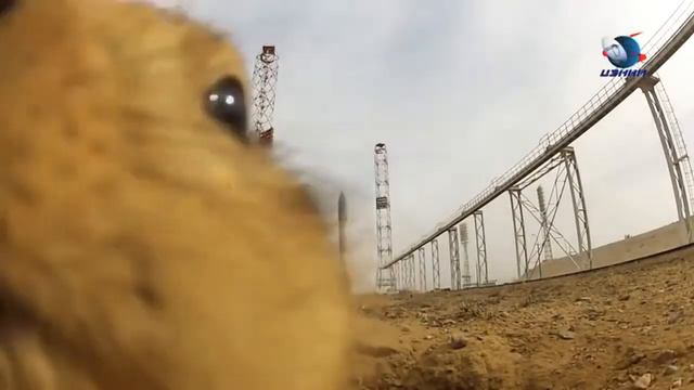 ПЕСНЯ 'Процветай, Байконур! смотреть онлайн