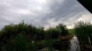 Илек-Угольное рыбалка летом перед дождём.