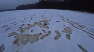 Зимняя рыбалка на жерлицы/ попали на клёв  #рыбалка #зимняярыбалка #жерлицы