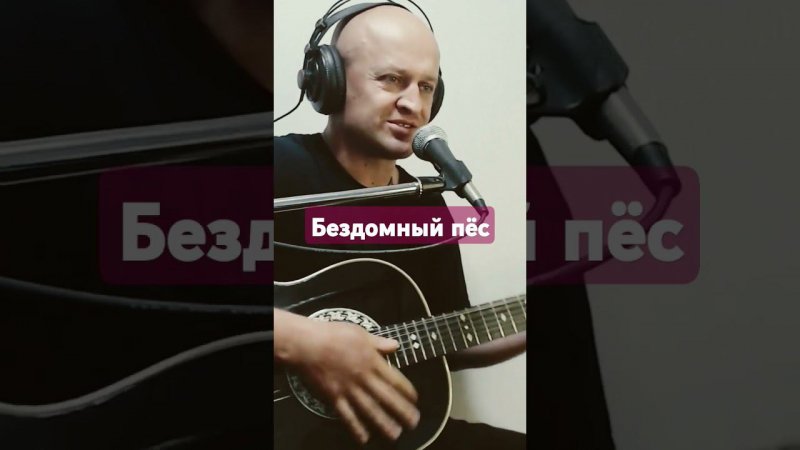 А. Топыркин- "Бездомный пёс" #гитара #music #автор #топыркин