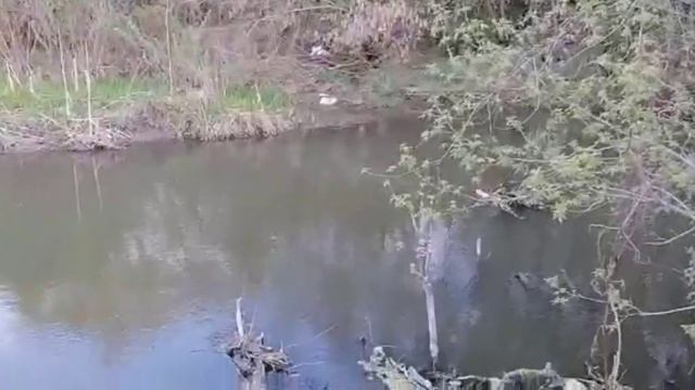 ВОЗВРАТ НЕГАТИВА СОЛЬЮ И ВОДОЙ. МАГИЯ СТИХИИ ВОДЫ