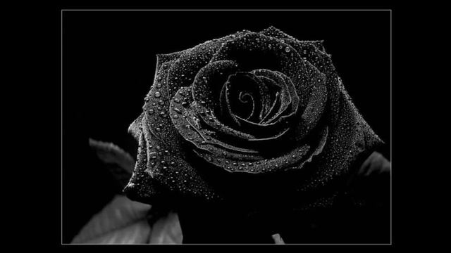 [HD] Matt Darey pres. Urban Astronauts - Black Flowers (Josh Gabriel Remix) - смотреть видео онлайн от «Fame Fiascos» в хорошем качестве, опубликованное 23 июня 2024 года в 6:23:40 00:09:25.