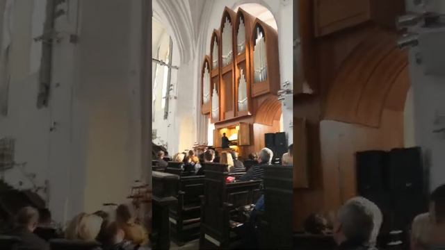 Органная музыка в Калининграде смотреть онлайн