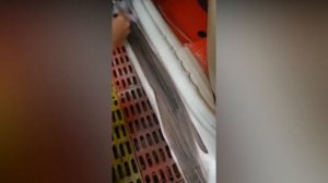 Без пробега по РФ