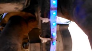 Кавасаки KSR 80