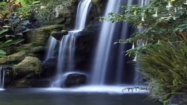 Медитация на изучение немецкого языка смотреть онлайн