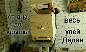 Улей Дадан. как сделать самому.  своими руками.