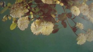 Любите, девушки простых романтиков, отважных летчиков и моряков(Браво((наброски)