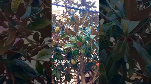 🙂🙂🙂 смотреть онлайн