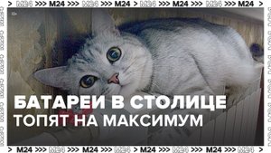 Температуру в городской системе отопления подняли до максимума - Москва 24