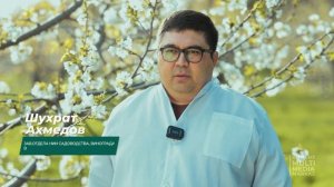 ДОСТАТОЧНО ЛИ ОПЫЛЯЮТСЯ ЦВЕТЫ ФРУКТОВЫХ ДЕРЕВЬЕВ?