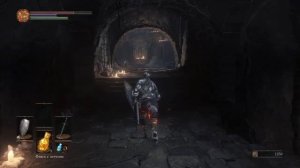 Прохождение Dark Souls 3 на платину: часть 1. "СЕКРЕТЫ ХРАМА ОГНЯ, ГУНДИР И ВИВЕРНА"