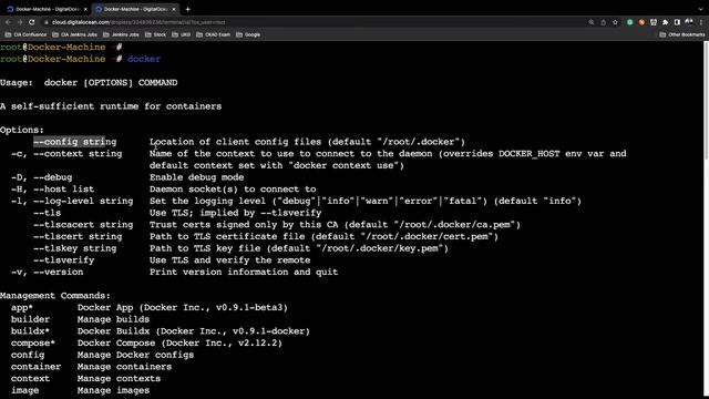Check Docker Install and Configurations