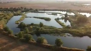 Школьное Белореченский район