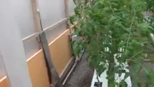 Отопление в теплице. Гидропоника. Фермер Глеб смотреть онлайн