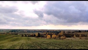 И  Бунин  У птицы есть гнездо, у зверя есть нора #стихиородине #поэтысеребряноговека