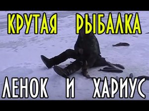 Верховья реки Зея, крутая рыбалка на ленка и хариуса, фильм В.Кузьменко #домавместе