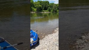 Сплав, рыбалка на реке Уссури ч.4