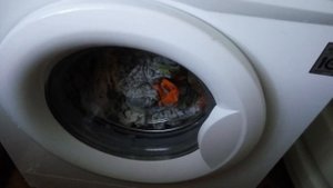 Как избежать дисбаланса при отжиме на автомат машине LG