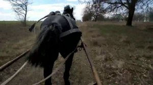 Испытания двуколки