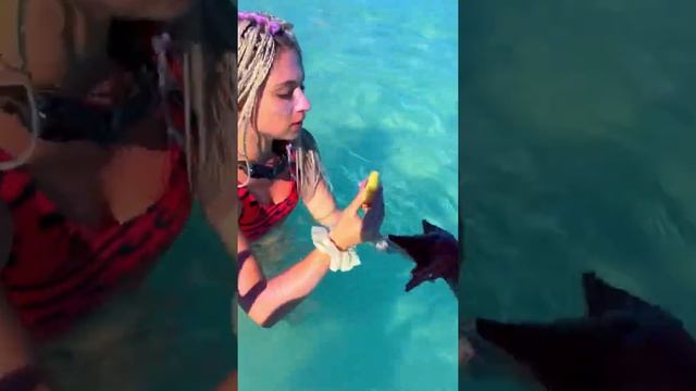 Нашла морскую звезду в море смотреть онлайн