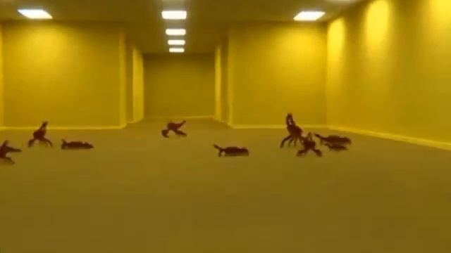 Бекрумс ВАКА ВАКА эй эй!