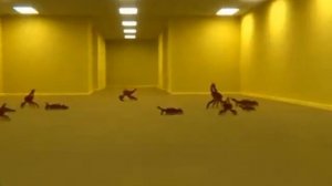 Бекрумс ВАКА ВАКА эй эй!