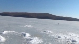 Зимняя рыбалка 2022.рыбалка на навагу. Навага на комбайны. Жизнь в Приморье.