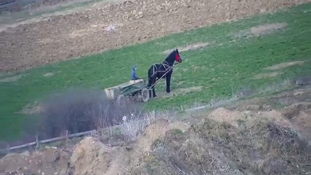 Hikvision DS-2DE4225IW-DE zoom test смотреть онлайн