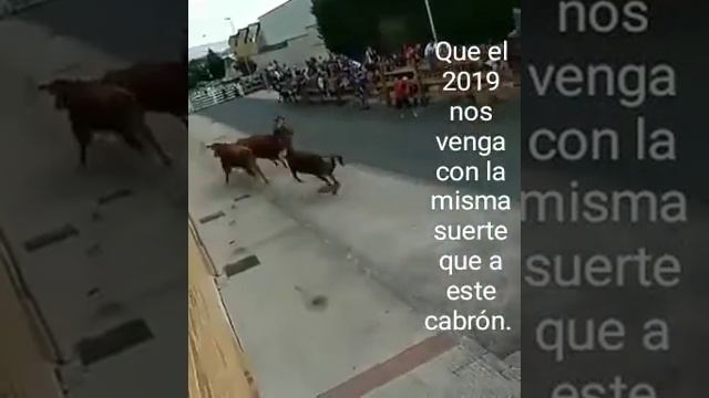 Corrida de toros españa