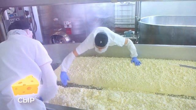 Откуда берутся кодовые продукты: символы и знаки заложенные в продуктах