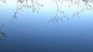 Озеро Сенеж, Солнечногорск. Жемчужина Подмосковья