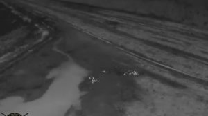 Using the DJI Mavic 2 Enterprise Advanced