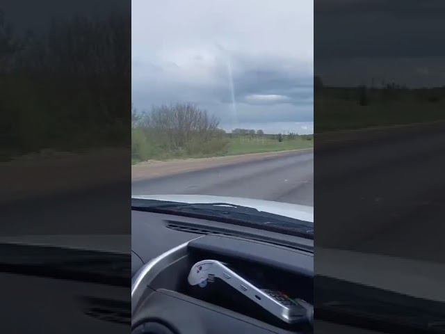 Медведь около Нерли смотреть онлайн