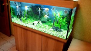 Аквариум Juwel Rio 240