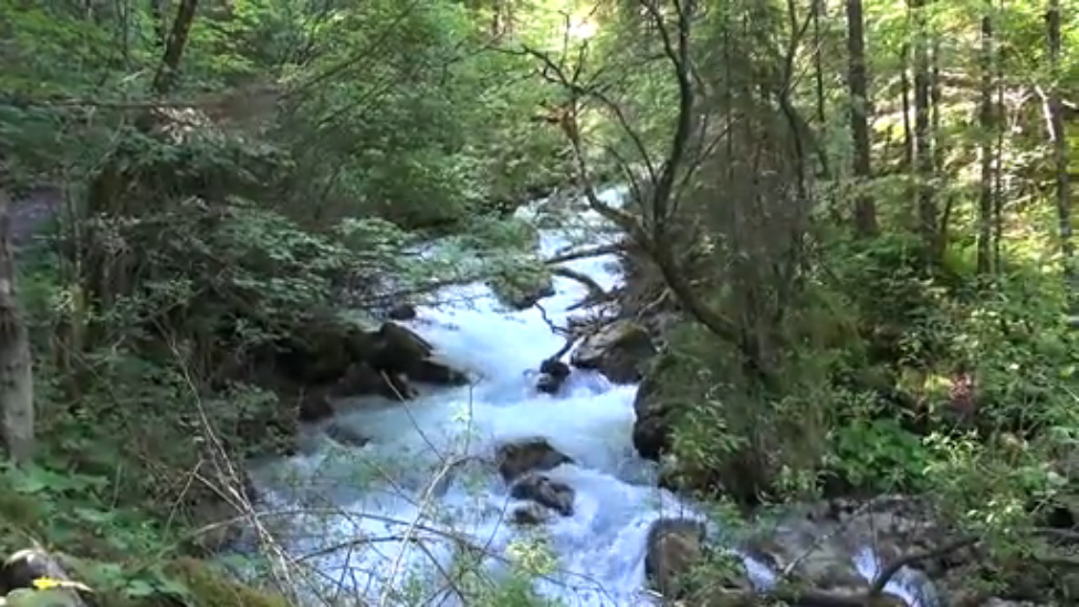 ущелье Hoellentalklamm
