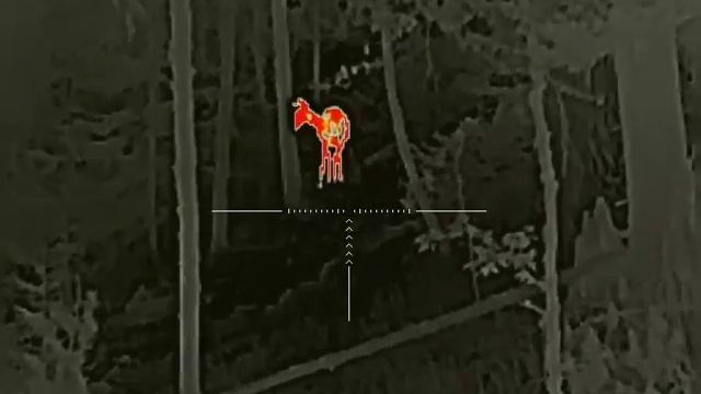 Iray saim scp 19w смотреть онлайн