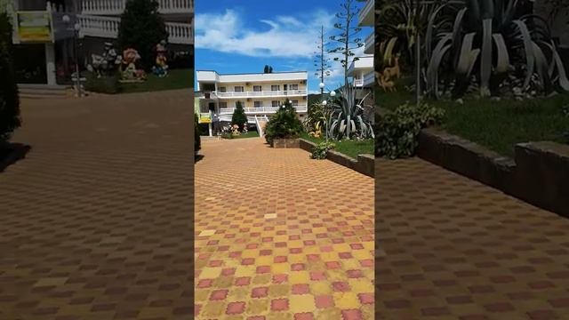 Пансионат головинка полностью 2019 июнь отдохнули супер