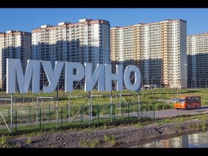 Работаем в городе Мурино. Да, это не Питер, это область. Дичь какая-то.
