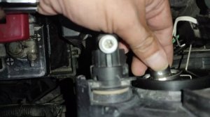 Замена лампы головного света Кангу 2 / How to replace bulb of headlight of Renault Kangoo II