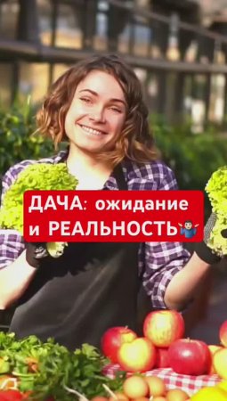 Вся правда про ДАЧУ