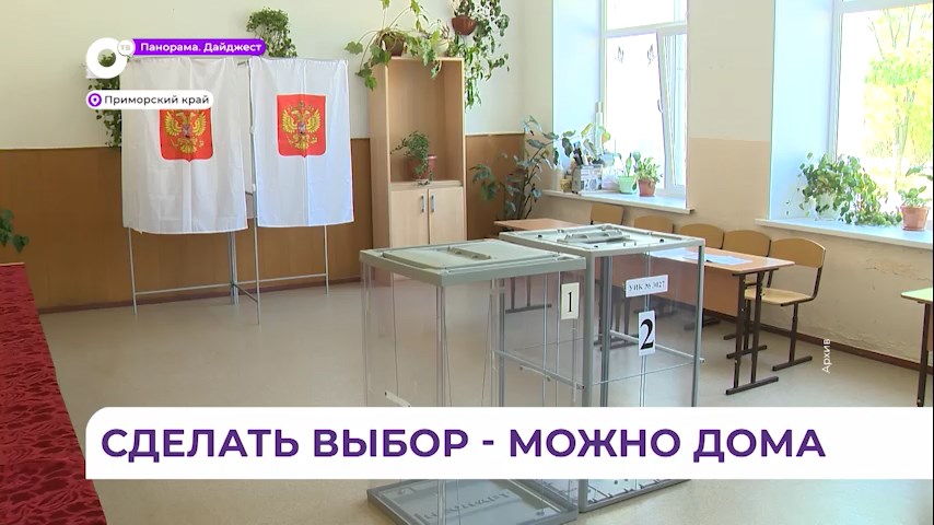 Проголосовать на выборах президента РФ можно на дому