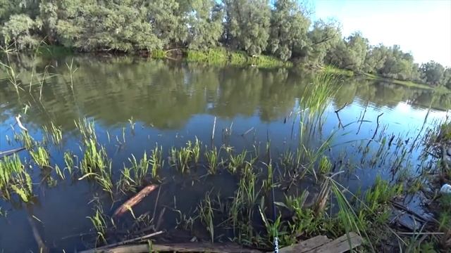 Такой улов даже удивил лучших рыбаков России. Рыбалка в весеннем сезоне 2020 смотреть онлайн