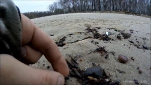 Янтарь вынесло после шторма