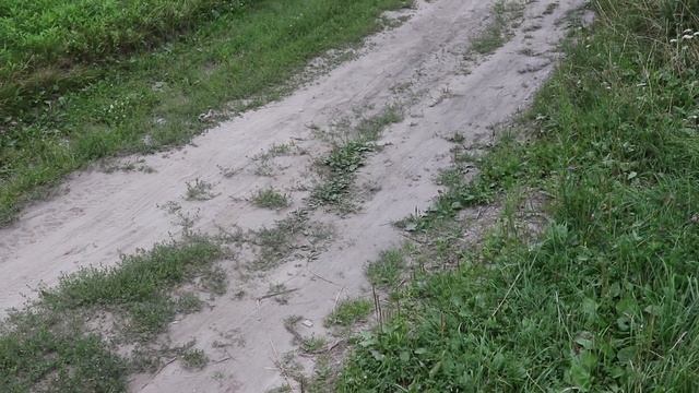 РЕАКЦИЯ ДАЧНИКОВ НА РЕМОНТ ДОРОГИ. КАК ЭТО БЫЛО... смотреть онлайн