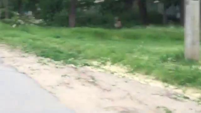 люблю животных)Будет много интересных видео тут) смотреть онлайн