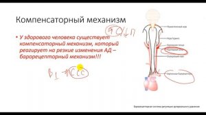 Дополнение. Ортостатическая гипотензия