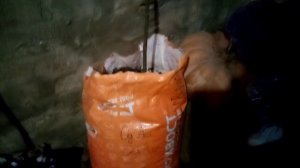 Инжир, зимовка в подвале.