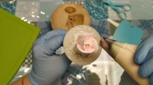 Торт с розами и хризантемами. Крем БЗК.