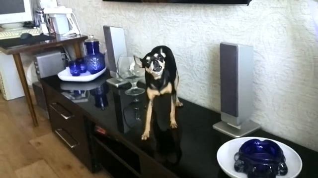 Моя Улыбка смотреть онлайн